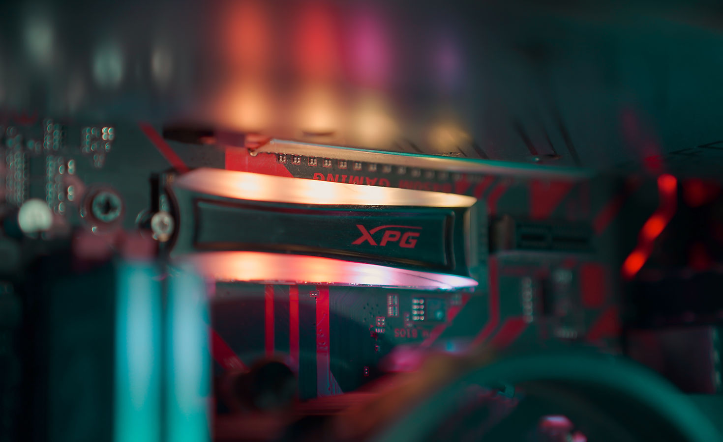 Rural Victoria landscape